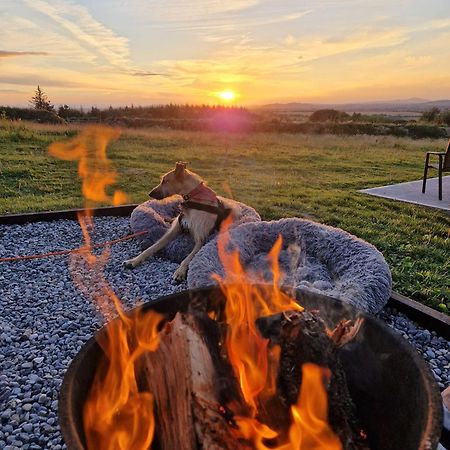 Appartement Forth Mountain Glamping à Ballintlea Extérieur photo