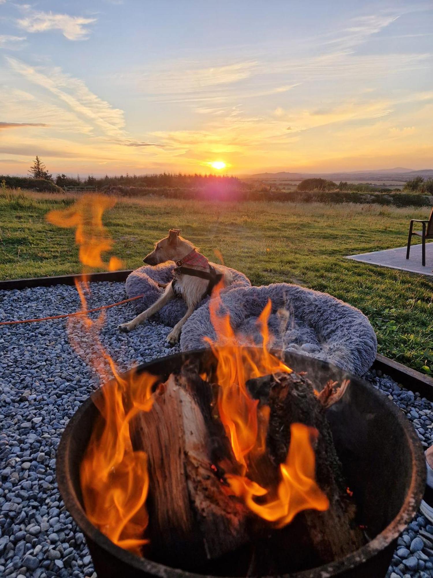 Appartement Forth Mountain Glamping à Ballintlea Extérieur photo